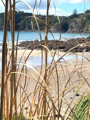 Oneroa Bay Villa Waiheke Exterior foto
